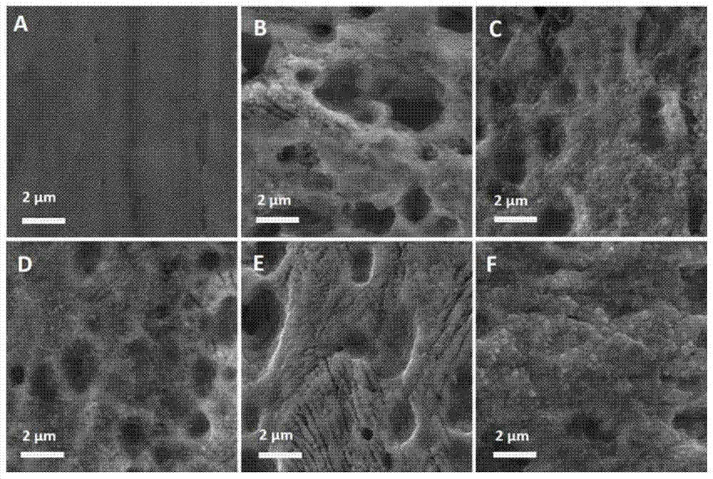 A kind of stainless steel microbial electrode and its preparation method and application