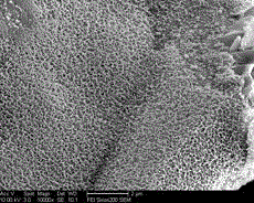 Method for preparing flaky AlON ceramic powder