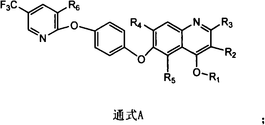 Quinoline derivative and application thereof