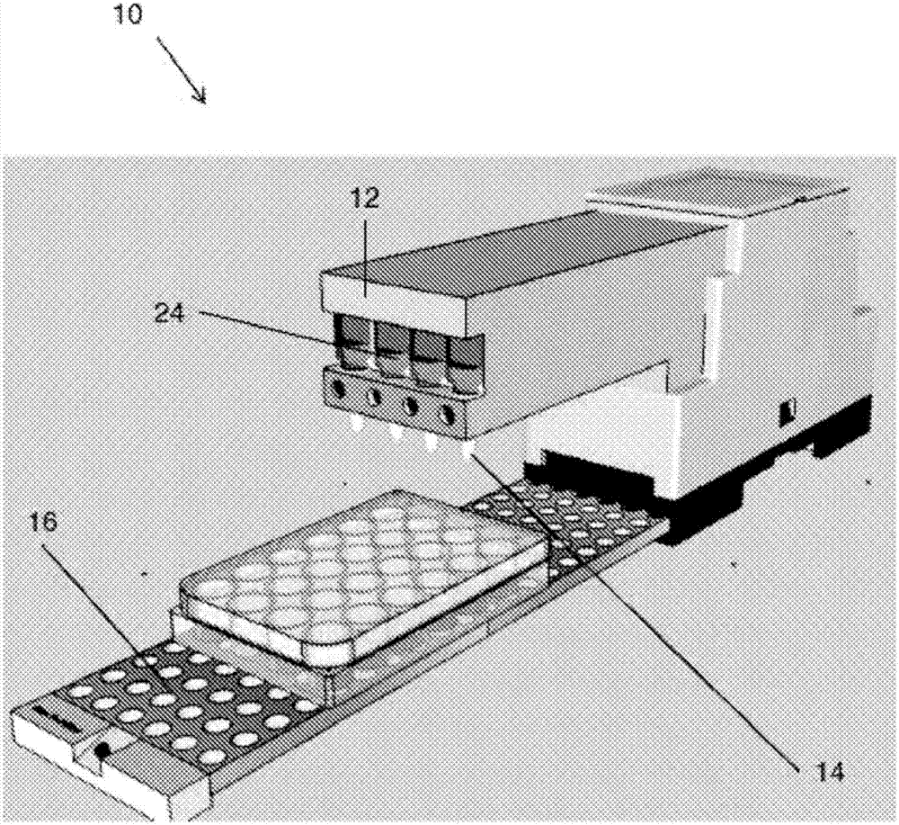 Delivery across cell plasma membranes