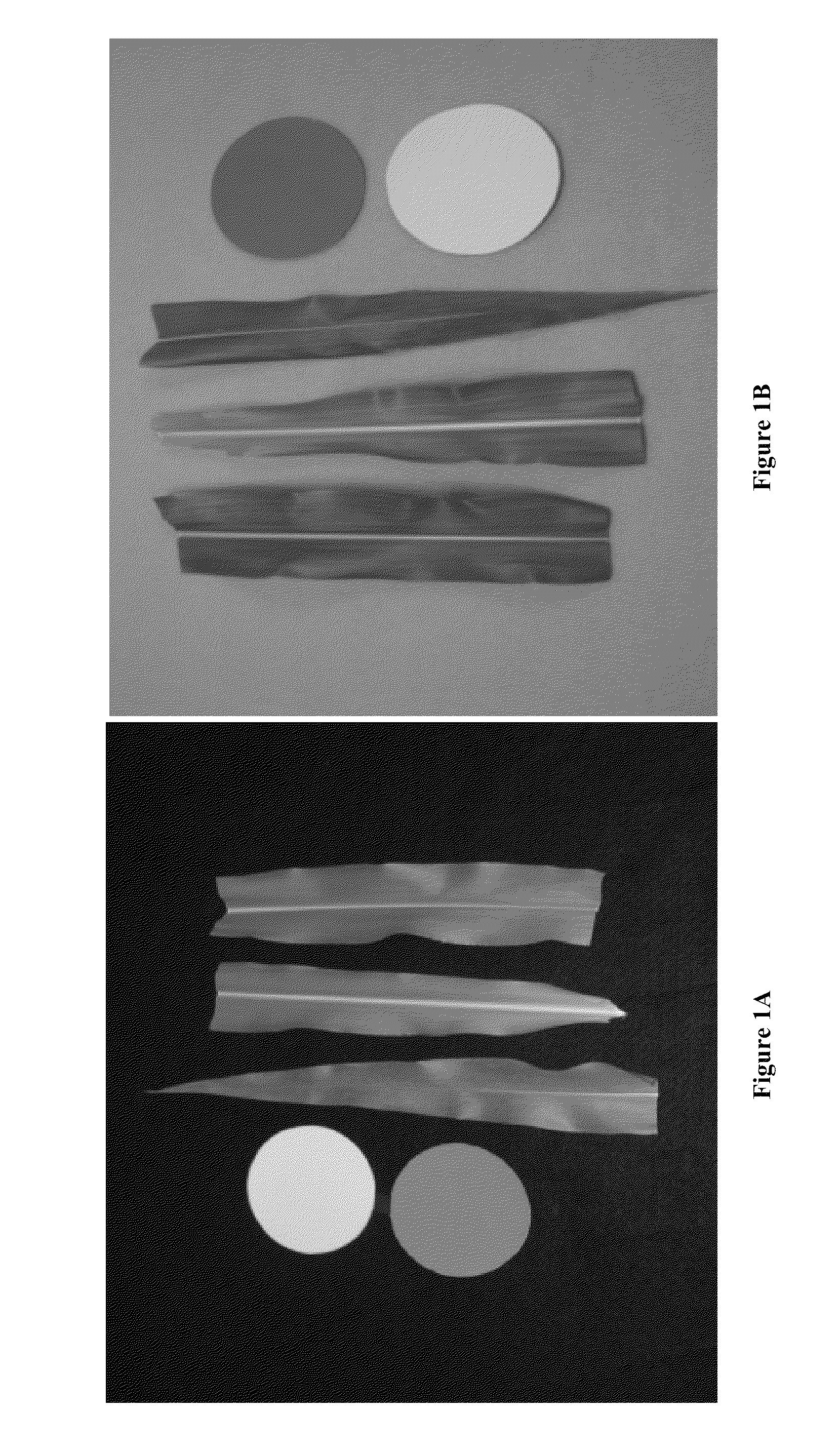 System and method of determining nitrogen levels from a digital image
