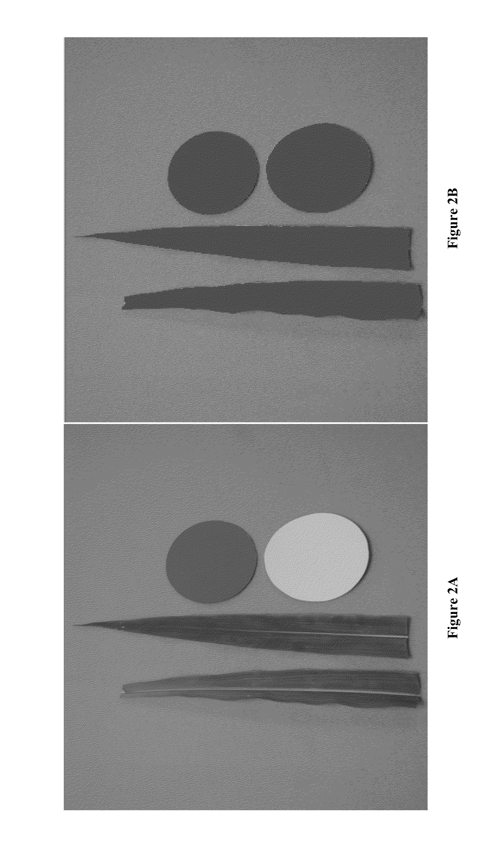 System and method of determining nitrogen levels from a digital image