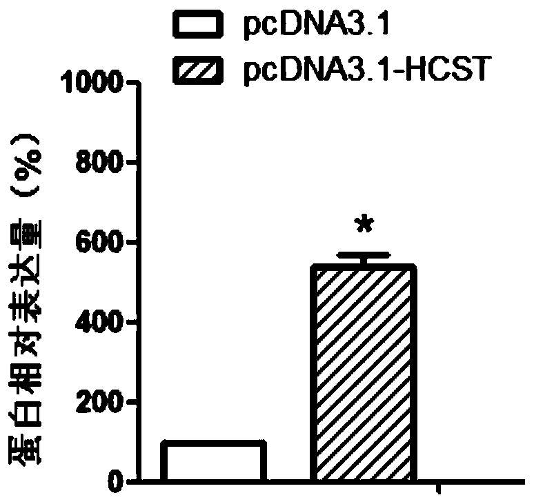 hcst gene as a target for diagnosis and treatment of preeclampsia