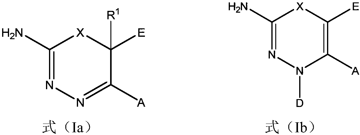 2-amino-1,3,4-thiadiazine and 2-amino-1,3,4-oxadiazine based antifungal agents