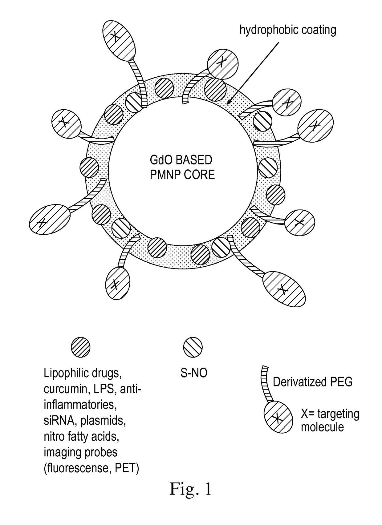 Modified paramagnetic nanoparticles for targeted delivery of therapeutics and methods thereof