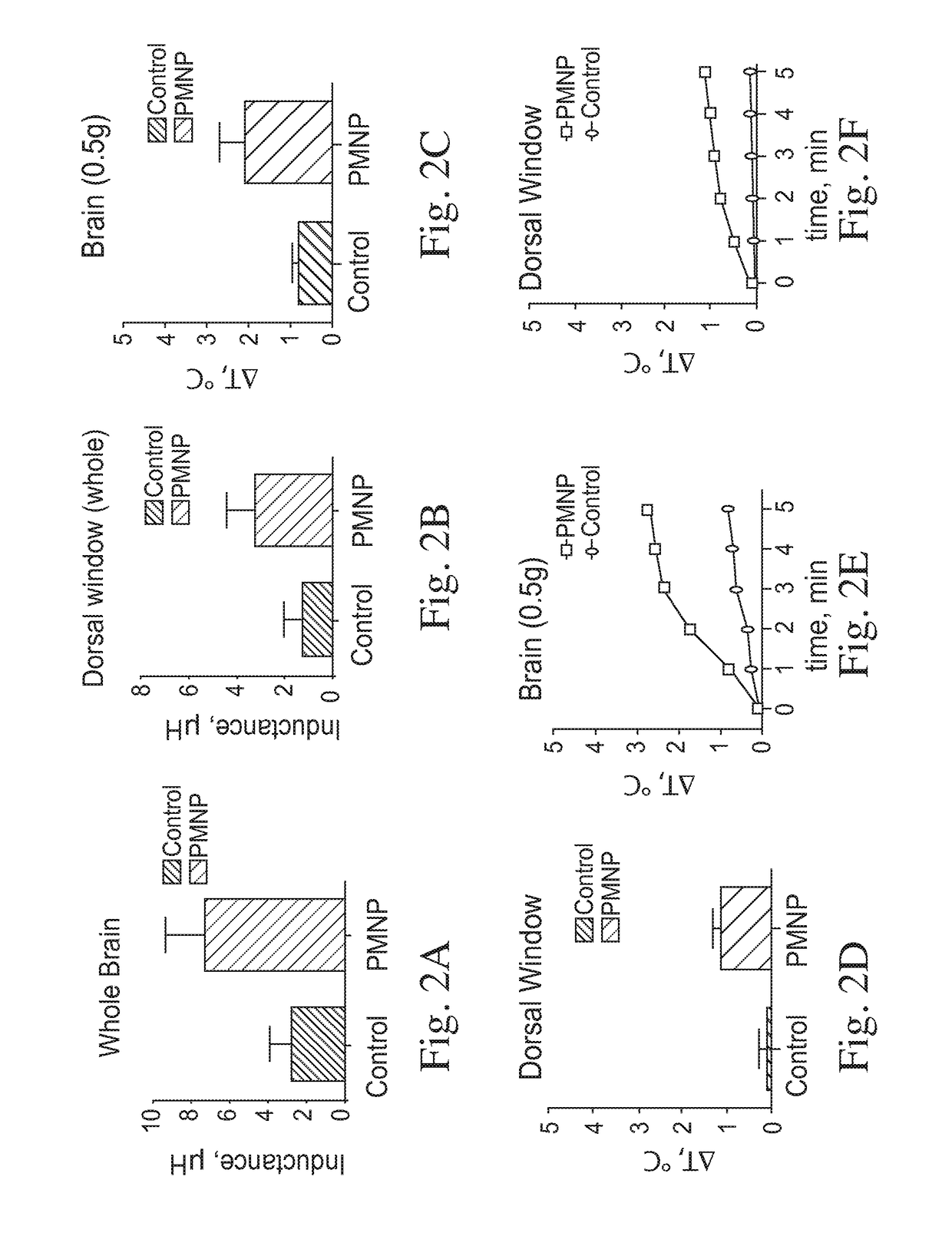 Modified paramagnetic nanoparticles for targeted delivery of therapeutics and methods thereof