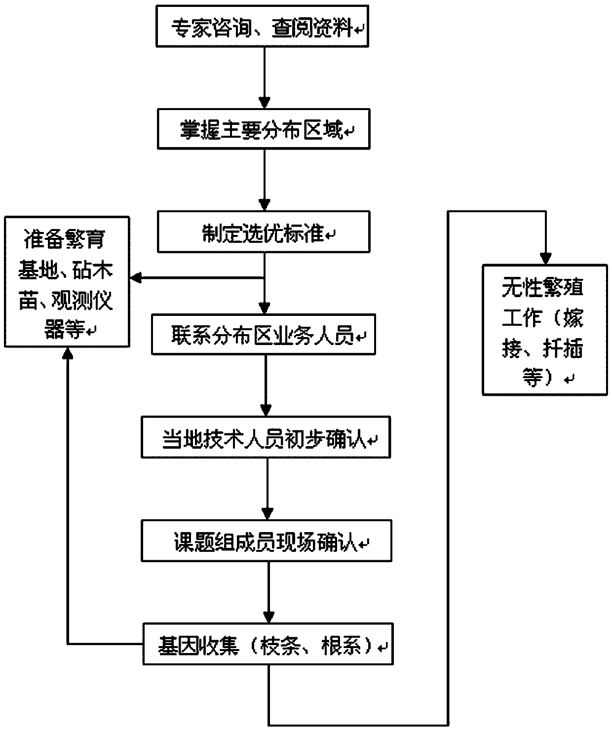 Selection method for good genetic strain of sophora japonica