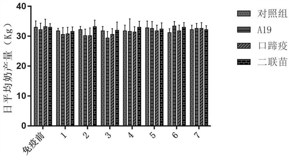 Brucellosis and foot-and-mouth disease bivalent vaccine and preparation method and application thereof