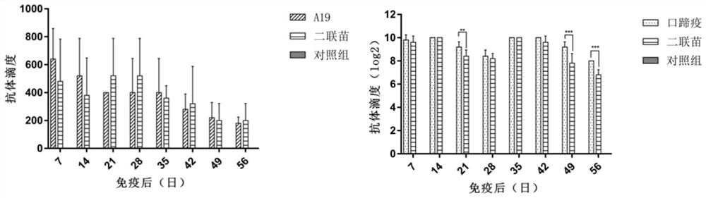 Brucellosis and foot-and-mouth disease bivalent vaccine and preparation method and application thereof
