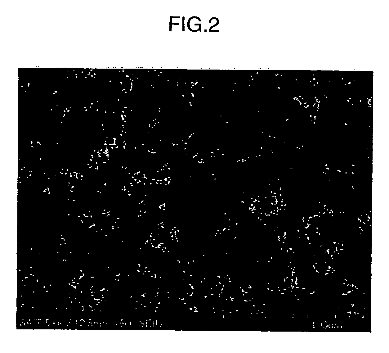 Electrode for electrochemical cell, method of manufacturing the same, and electrochemical cell includng the electrode