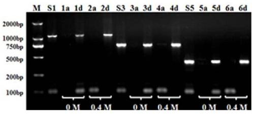 A method for selectively extracting dna