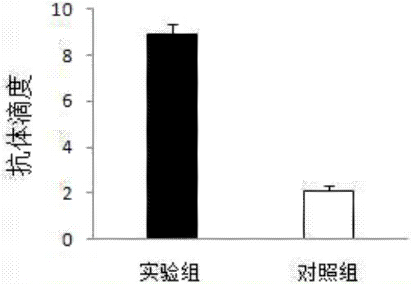 Streptococcus equi subsp. zooepidemicus protective antigen HP0623 and preparation method thereof