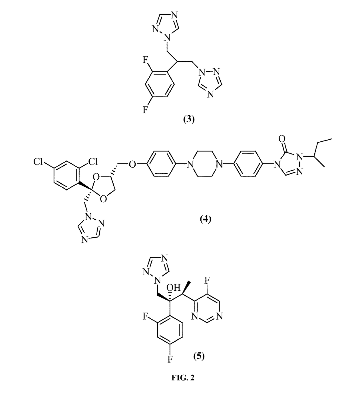 Posaconazole immunoassays