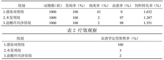 Traditional Chinese medicine oral liquid for treating chicken paratyphoid fever and preparation method thereof