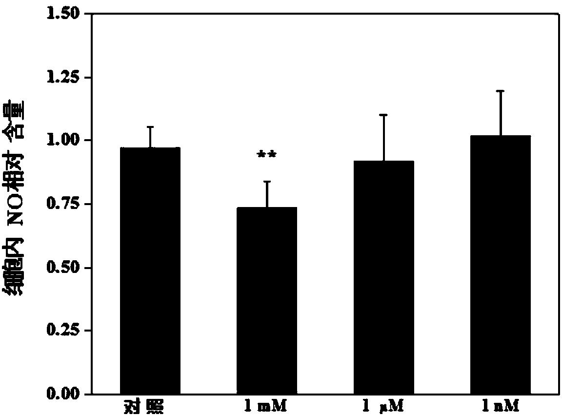 Detection method of heavy metal copper cytotoxicity based on nitric oxide synthase nos