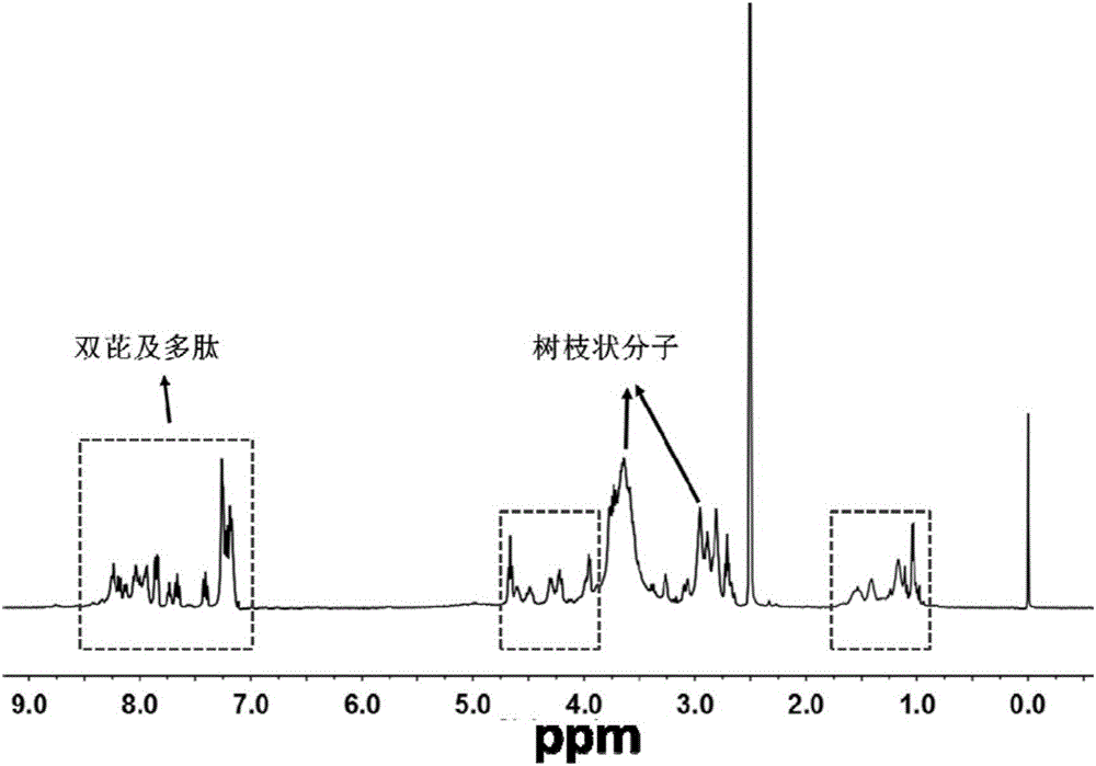 Molecular probe, and preparation method and application thereof