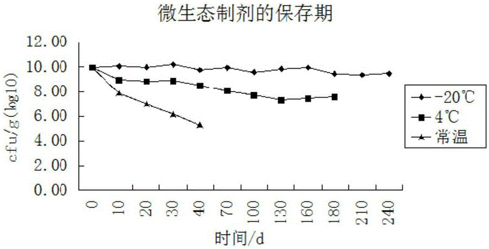 Poultry micro-ecological preparation as well as preparation method and application thereof