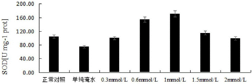Application of methyl jasmonate in waterlogging resistance of plants