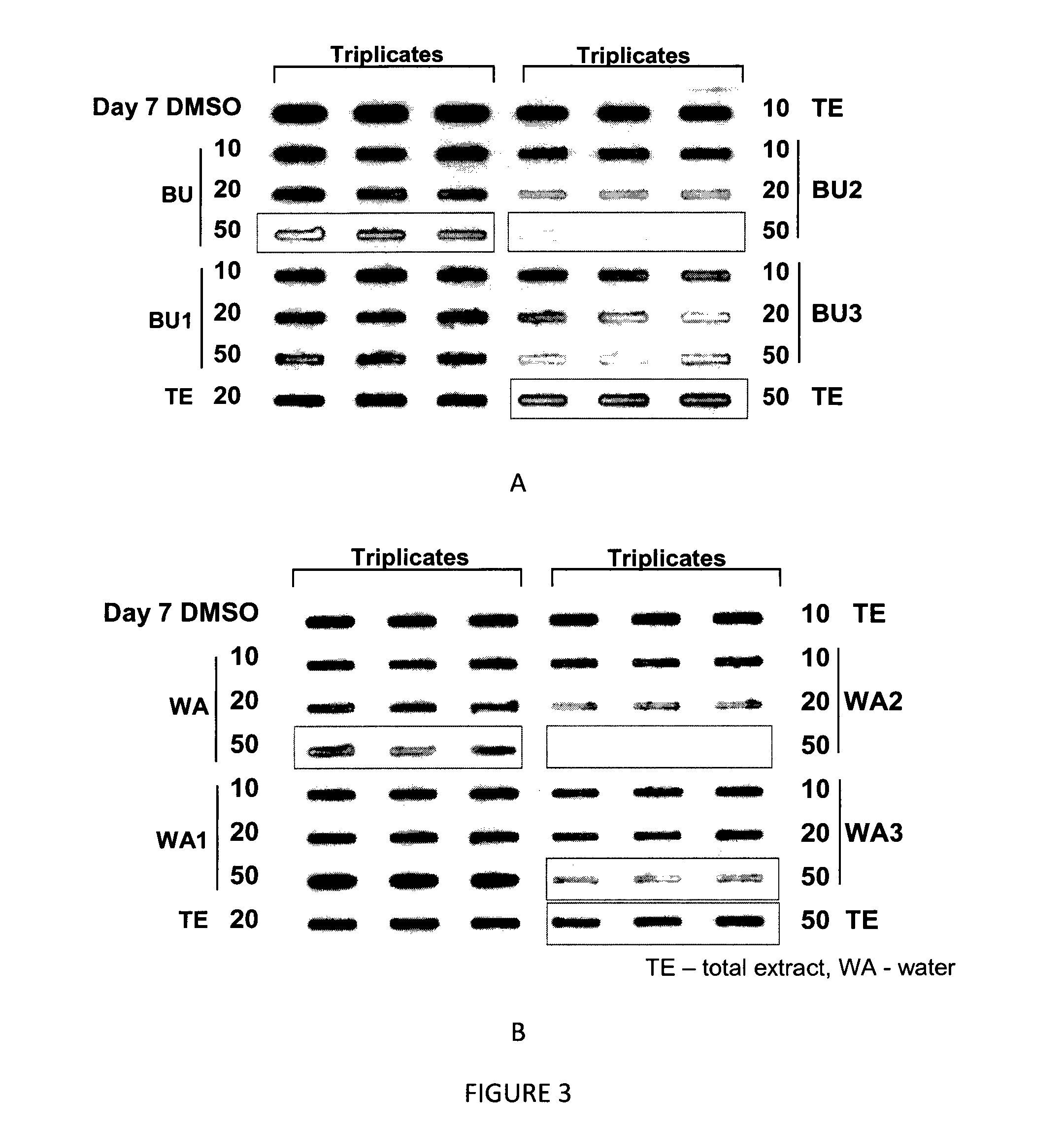 Composition for treating neurodegenerative disease or neuropathological condition