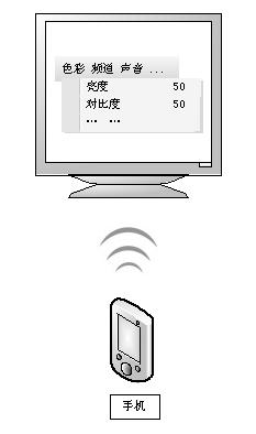 Wireless control system and method for remote device