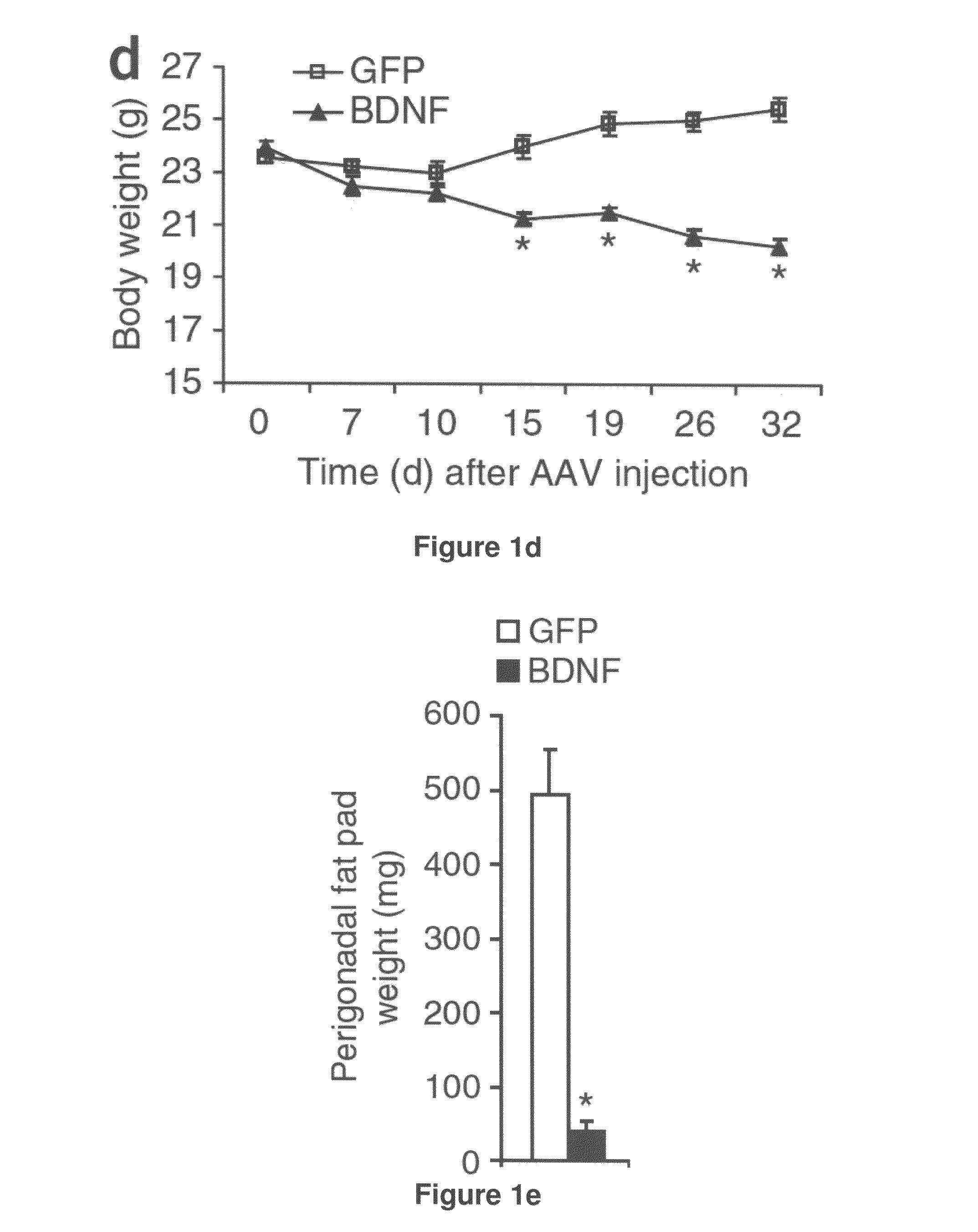 Treatment of metabolic-related disorders using hypothalamic gene transfer of BDNF and compositions therefor