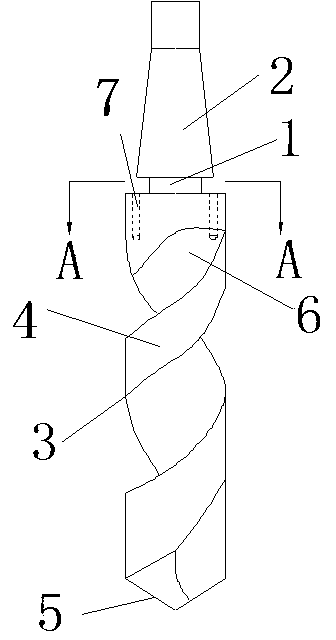 Twist bit with lubricating oil guide holes