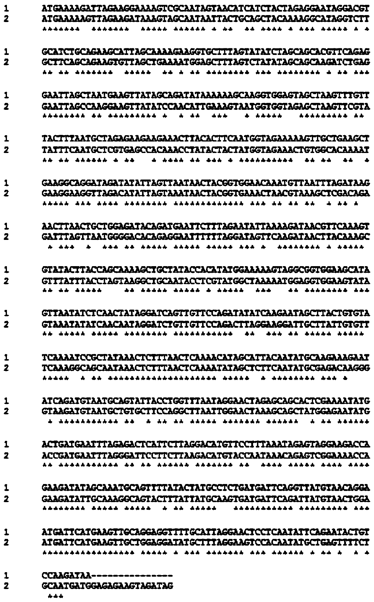 7α-hydroxysteroid dehydrogenase gene s1-a-1
