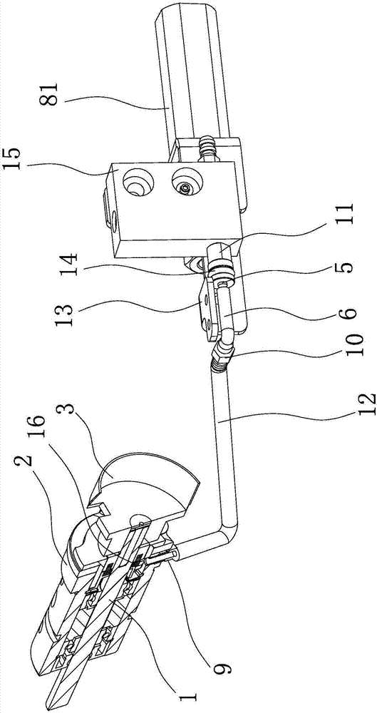 Lubricating structure of rotating shuttle of sewing machine