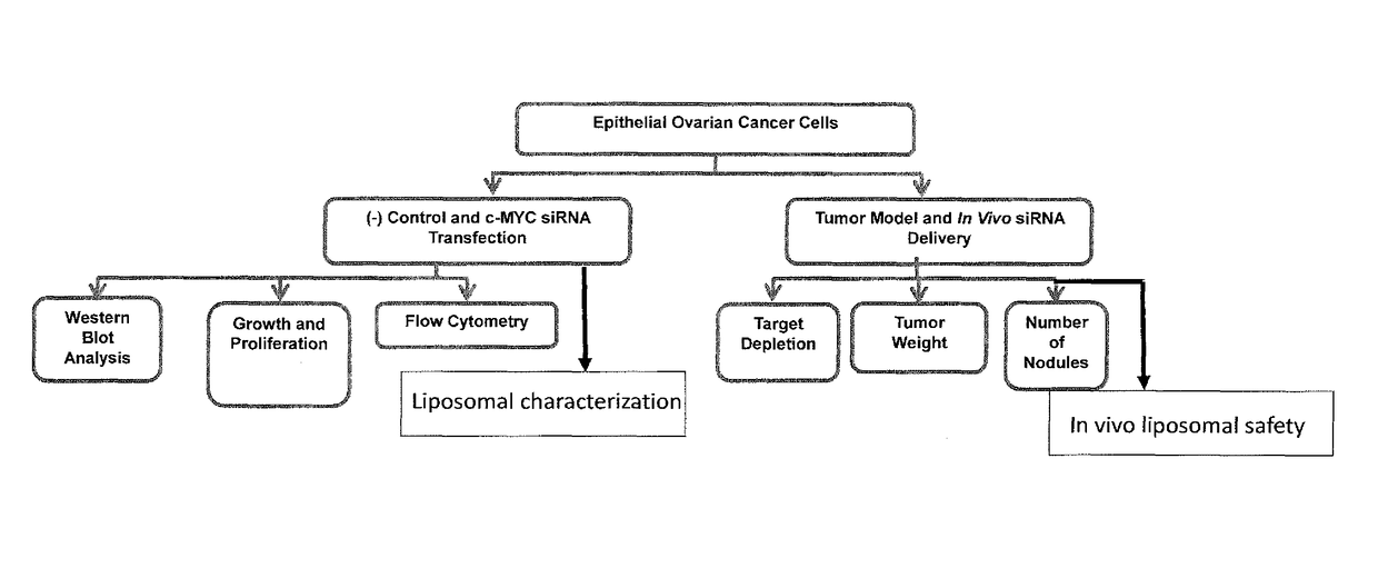 Nanoliposomal c-MYC-siRNA inhibits in vivo tumor growth of cisplatin-resistant ovarian cancer