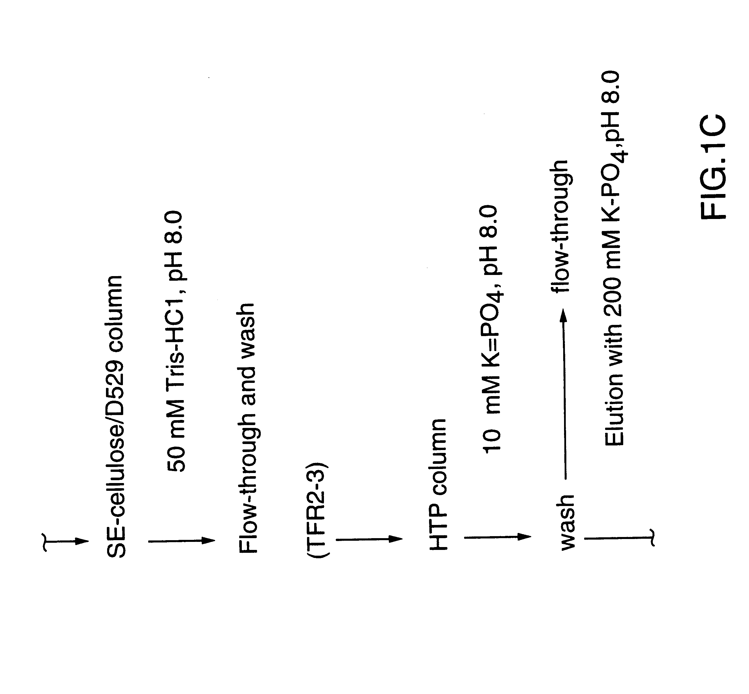 Transferrin receptor protein of moraxella