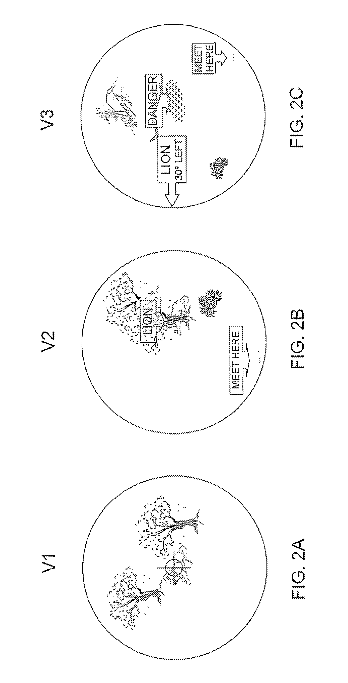 Real-time geographic information system and method