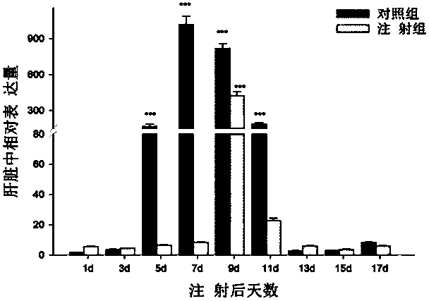 Freshwater shrimp vitellogenin Vg gene, encoding protein and application of freshwater shrimp vitellogenin Vg gene
