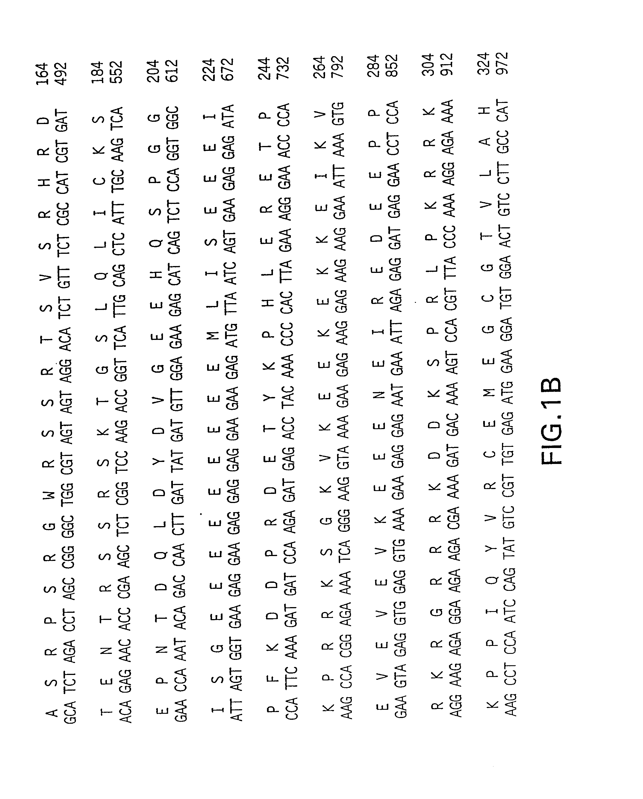 Compositions and methods for the treatment and diagnosis of cardiovascular disease