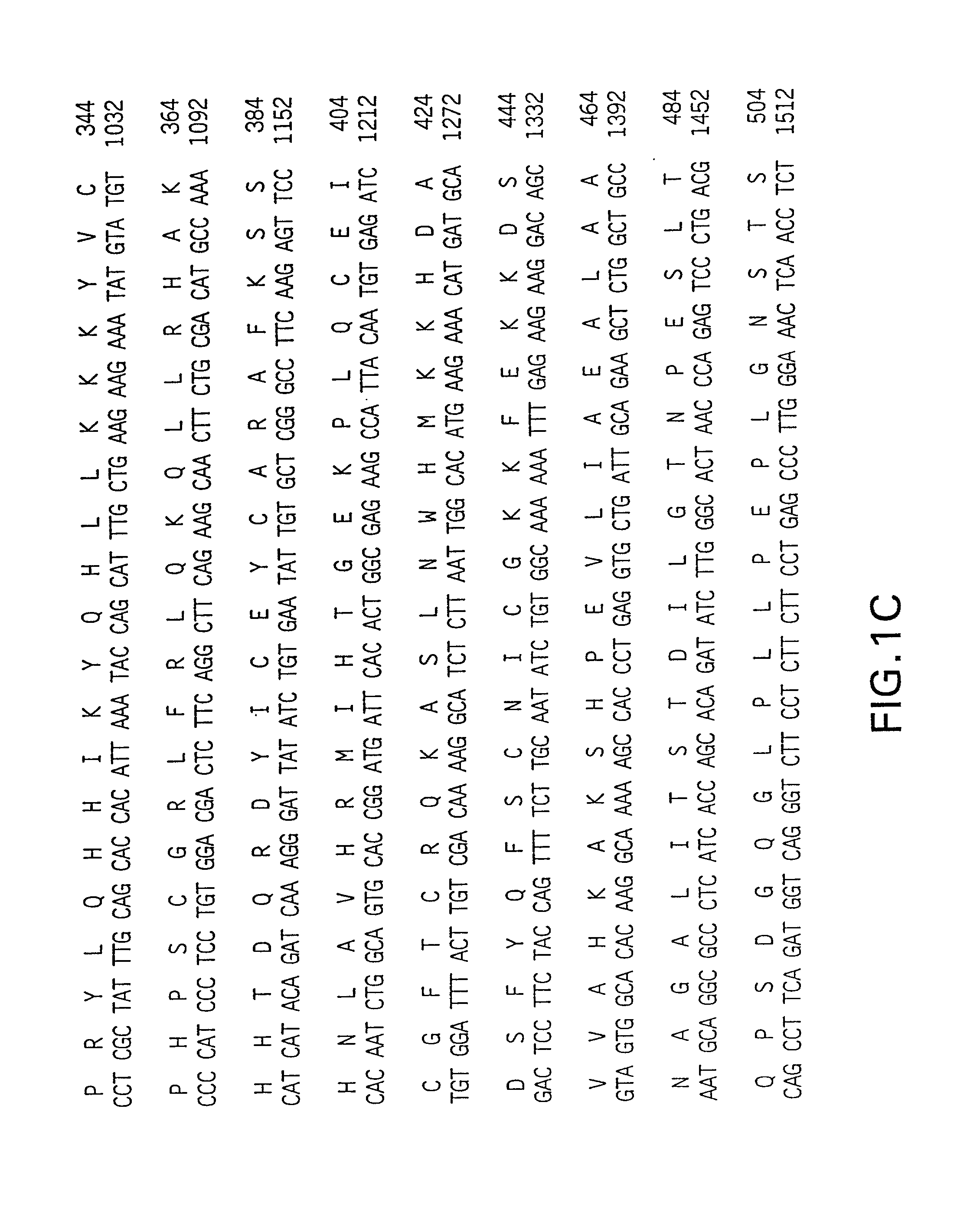 Compositions and methods for the treatment and diagnosis of cardiovascular disease