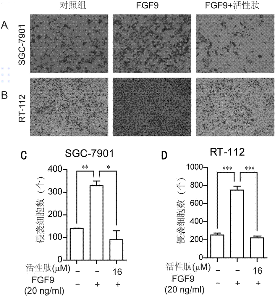 Active peptide for inhibiting malignant tumors and enhancing treatment effect of chemical drug and application thereof