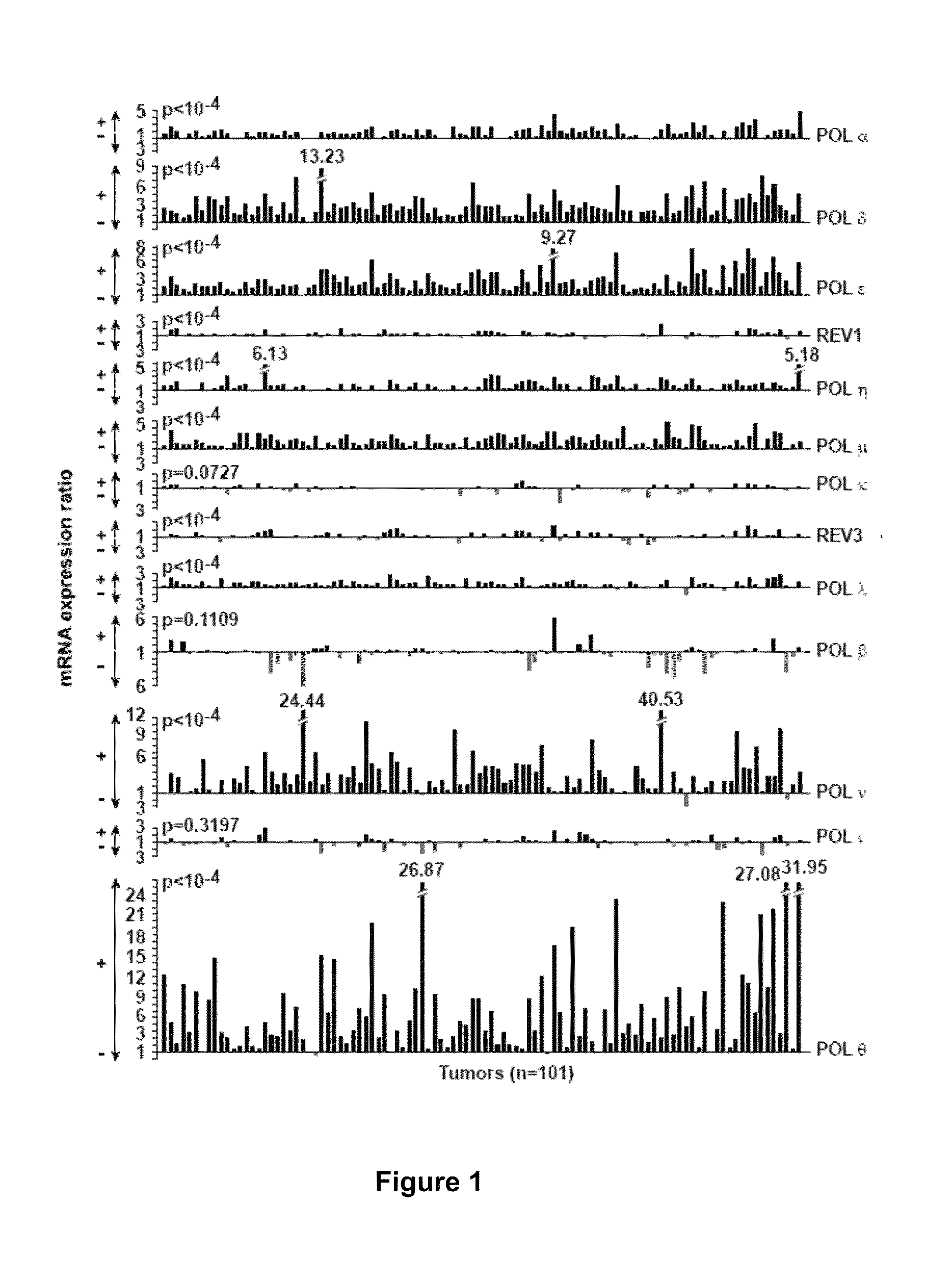 Signature for the diagnosis of cancer aggressiveness and genetic instability