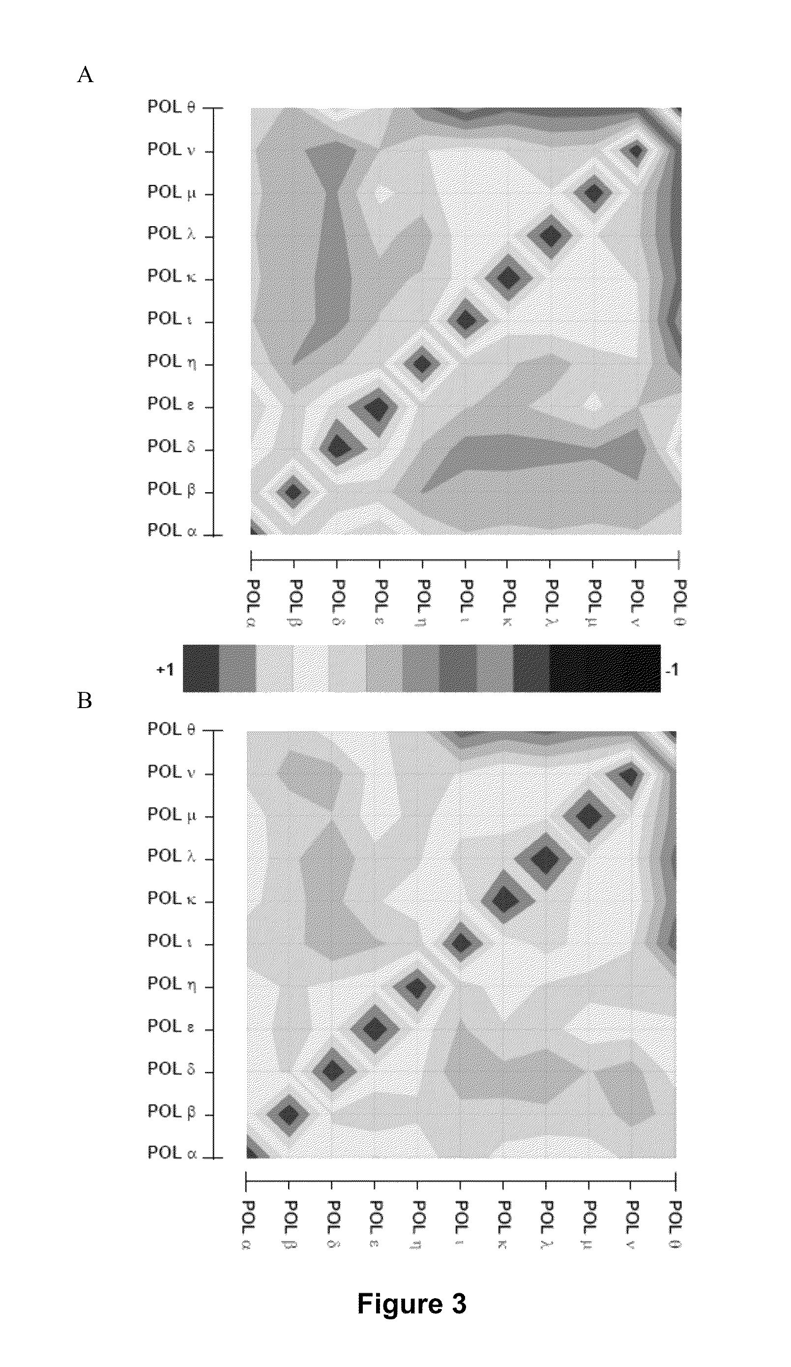 Signature for the diagnosis of cancer aggressiveness and genetic instability