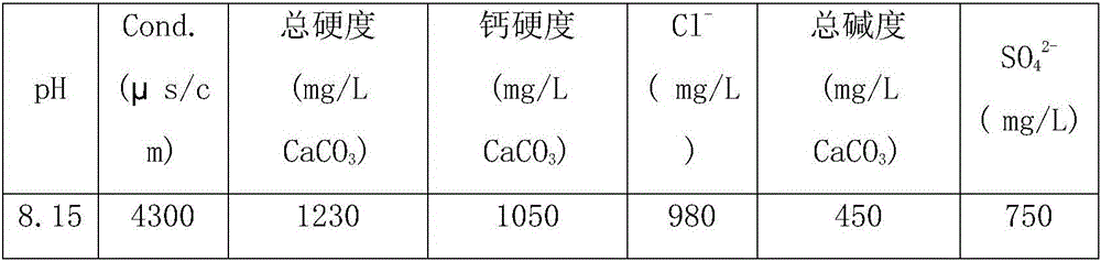 Green and environment-friendly composite scale and corrosion inhibition chemical and preparation method thereof