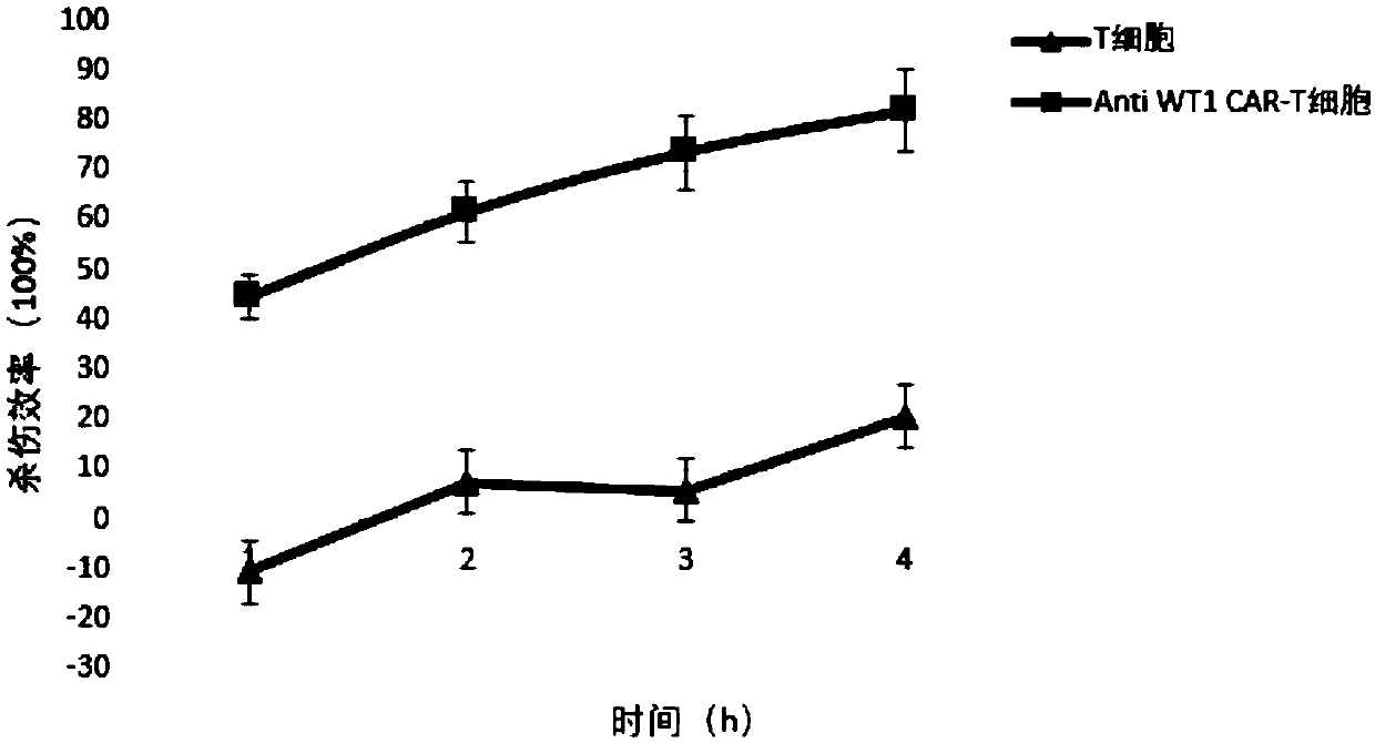 Chimeric antigen receptor T cell targeted to WT1 and application of chimeric antigen receptor T cell