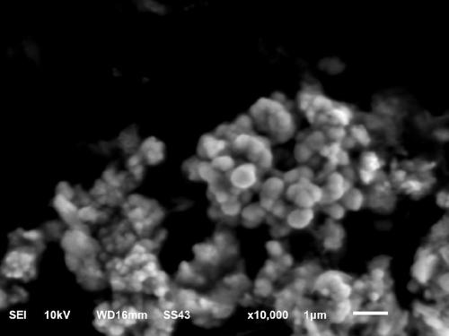 Electrolyte system using pulse-electrodeposition method to prepare superfine magnetic metal powder