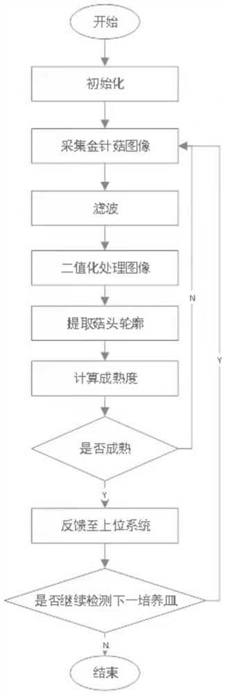 Vision-based needle mushroom mature state detection method