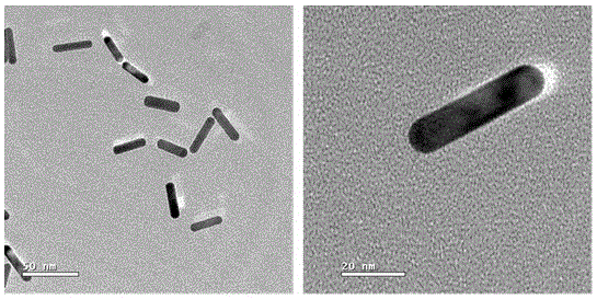 Nano-carrier entrapping anticancer drugs and gold nanoparticles lipids and preparation method of nano-carrier