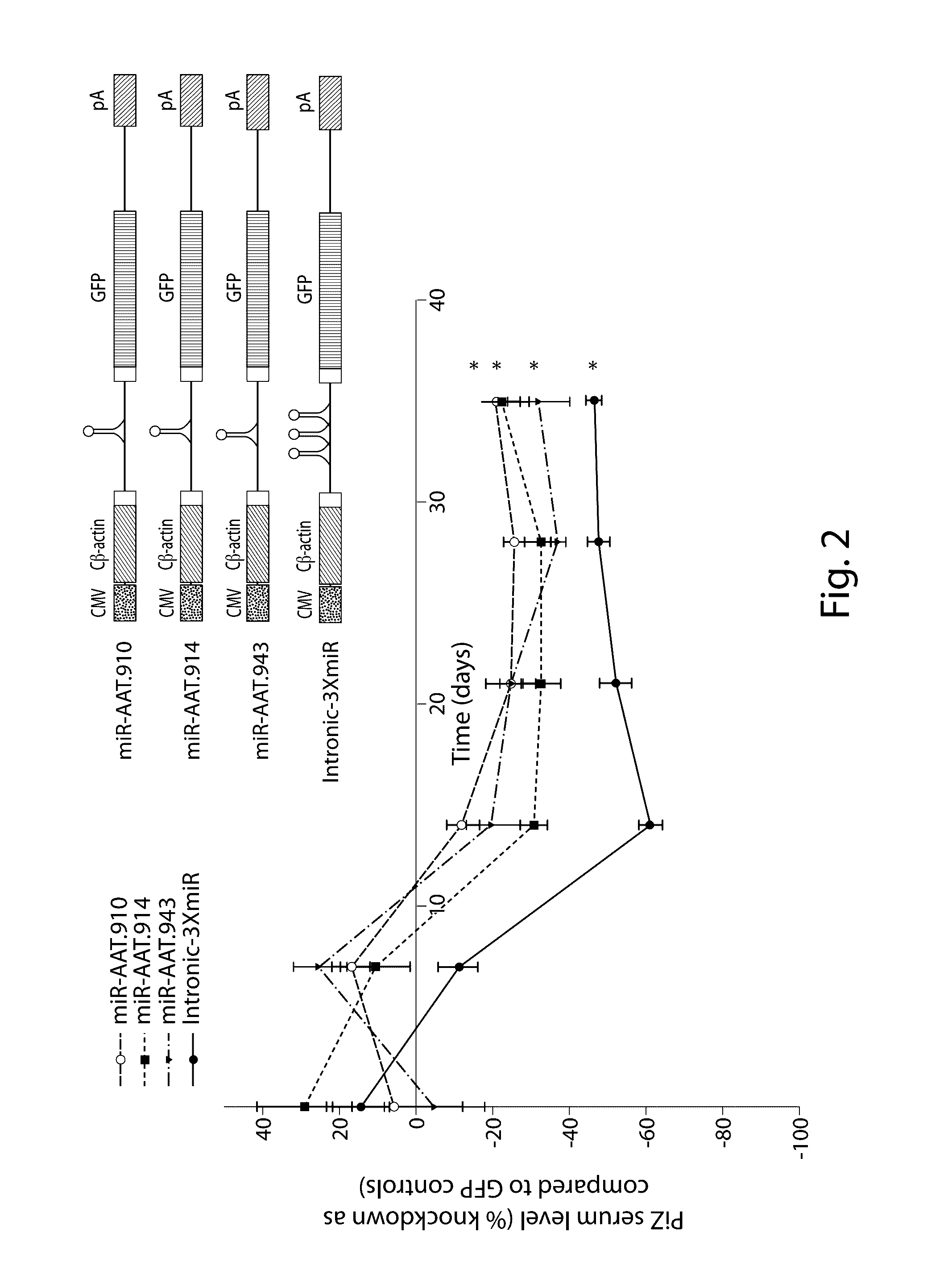 Raav-based compositions and methods for treating alpha-1 Anti-trypsin deficiencies