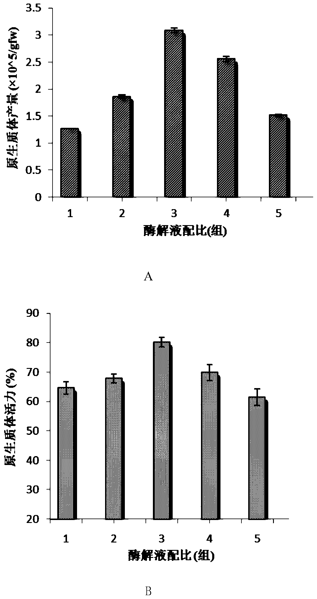 A kind of separation and instantaneous transformation method of tripterygium wilfordii protoplast