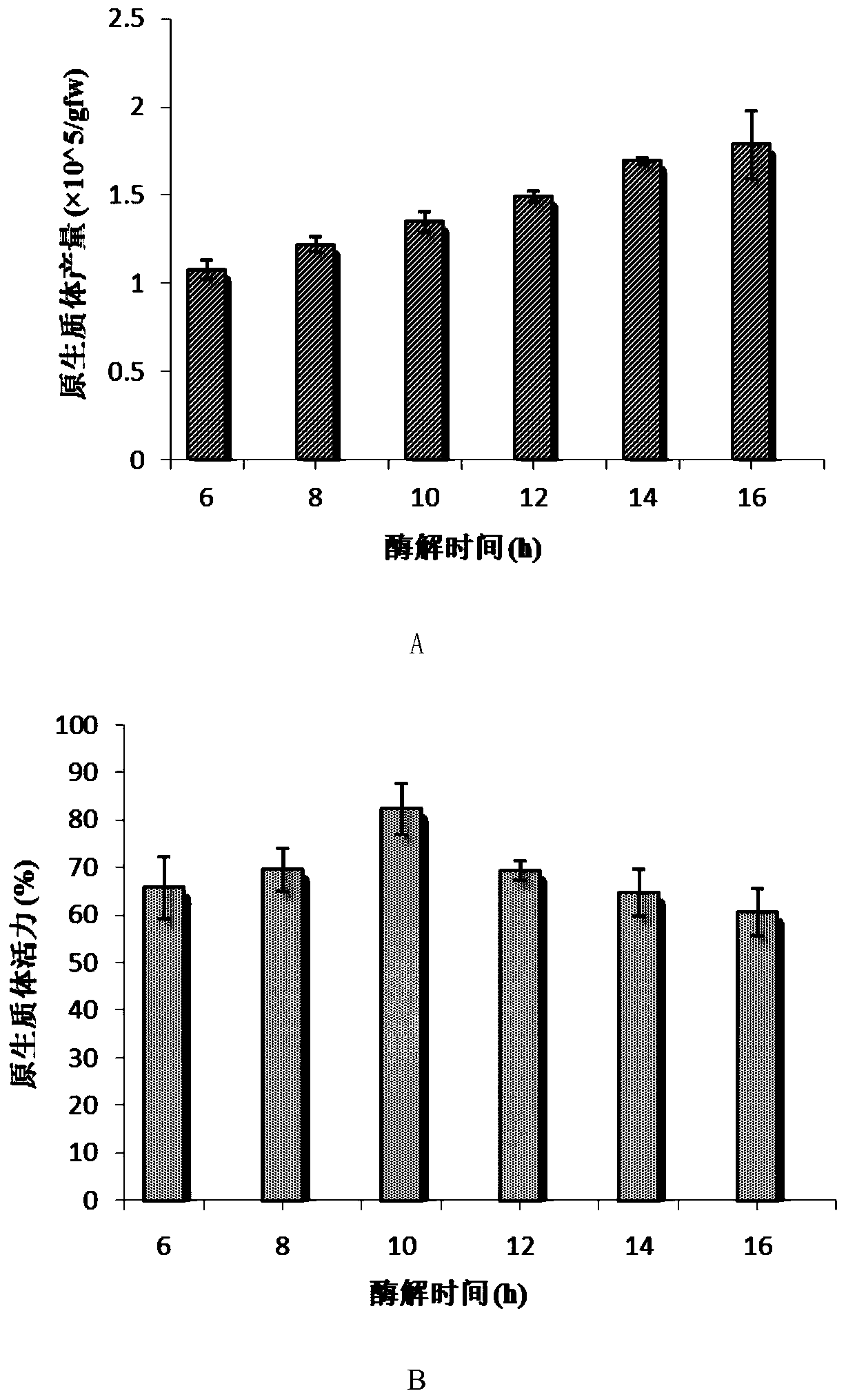 A kind of separation and instantaneous transformation method of tripterygium wilfordii protoplast