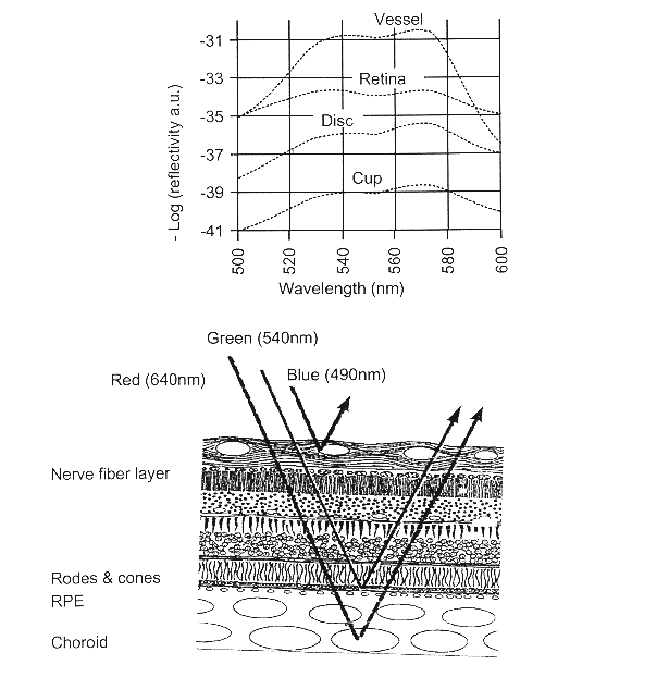 Spectral bio-imaging of the eye