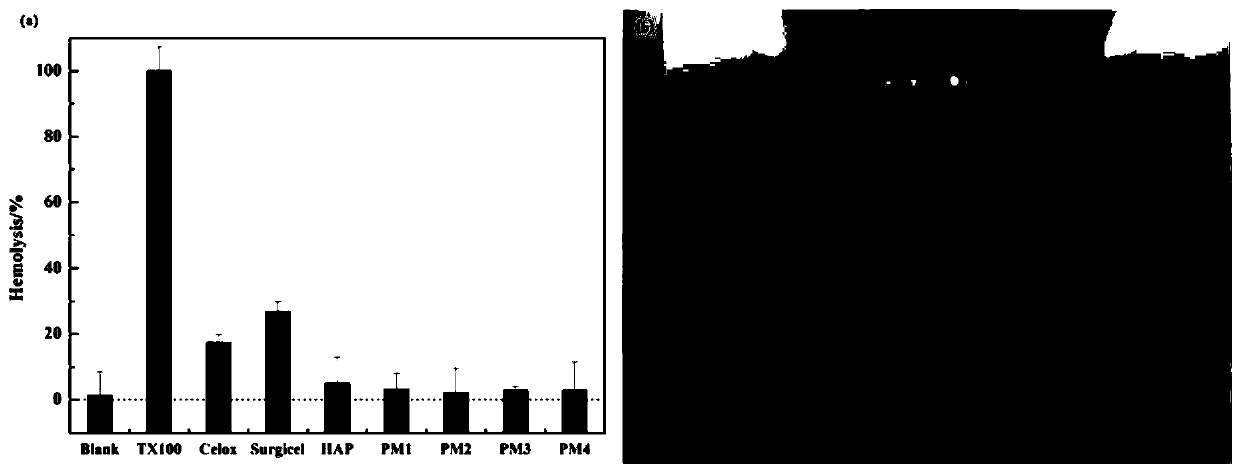 External nano-hydroxyapatite/polydopamine wet adhesion type styptic powder and preparation method thereof