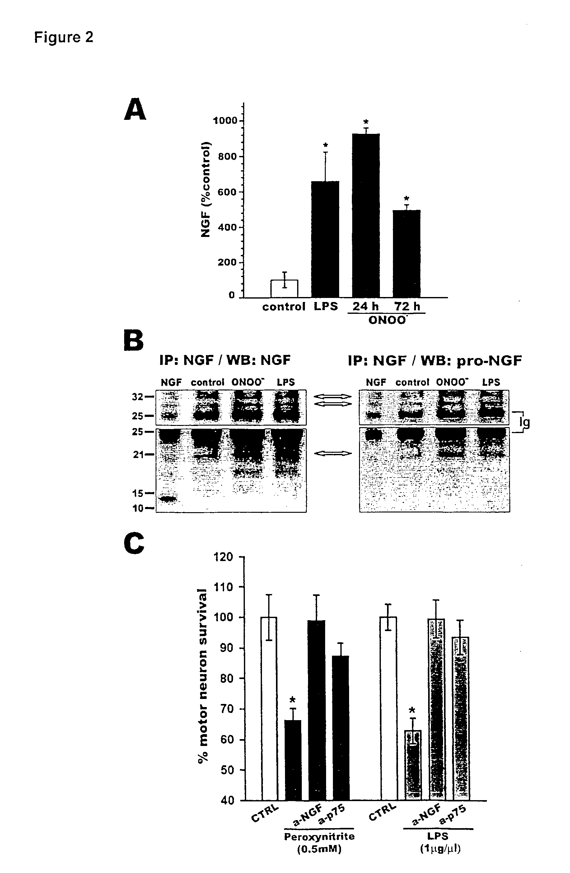 Active or passive immunization against proapoptotic neurotrophins for the treatment and/or prevention of neurodegenerative diseases