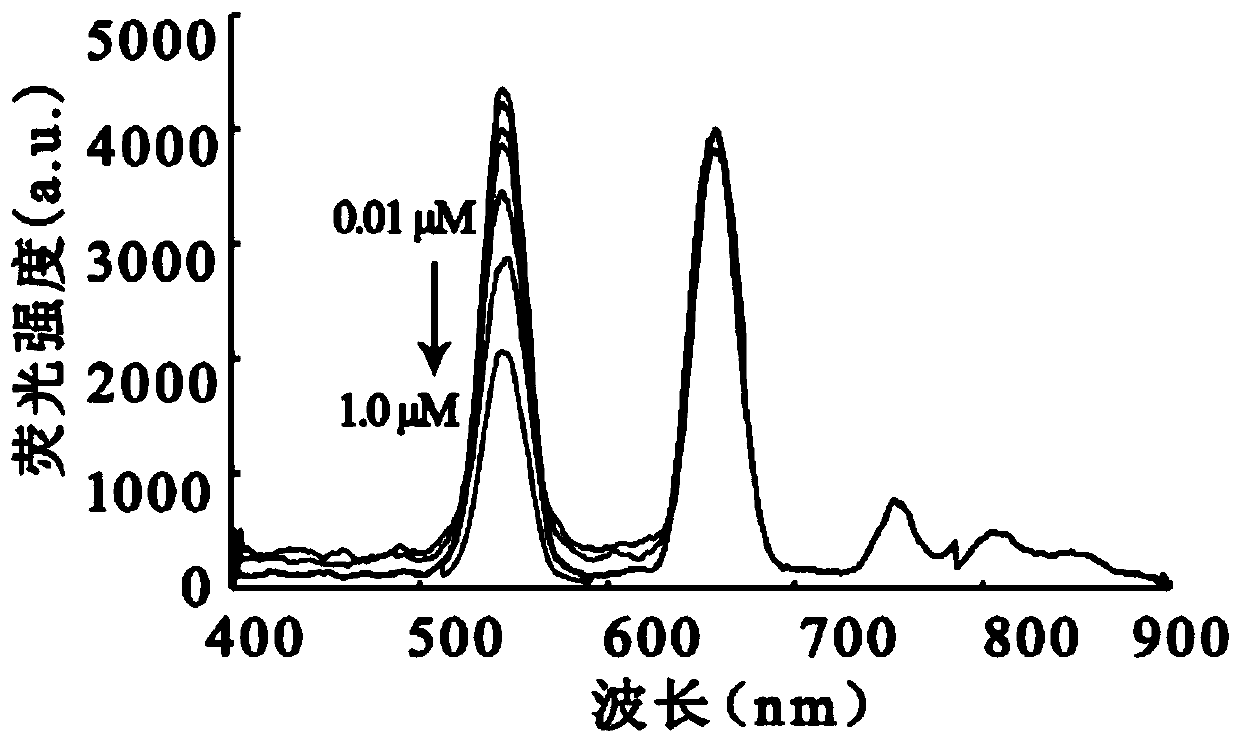 Method for detecting cadmium content in tea based on up-conversion and dithizone-specific system