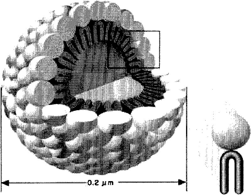 A kind of lipid microsphere composition